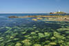 Stones Reef and Godrevy Lighthouse