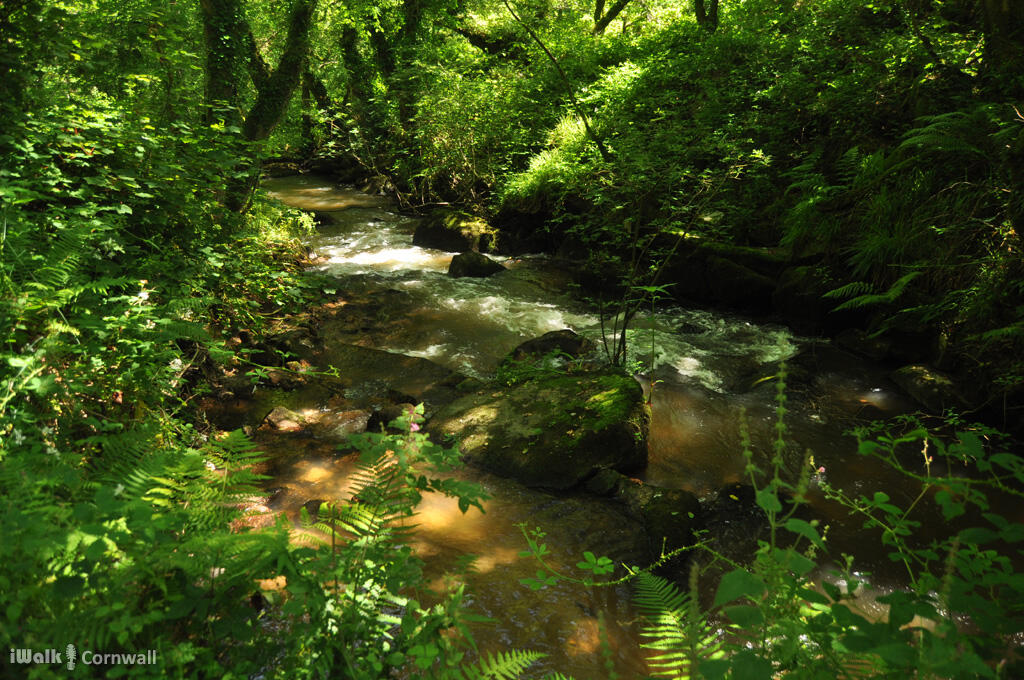 Circular walks beside the Par River