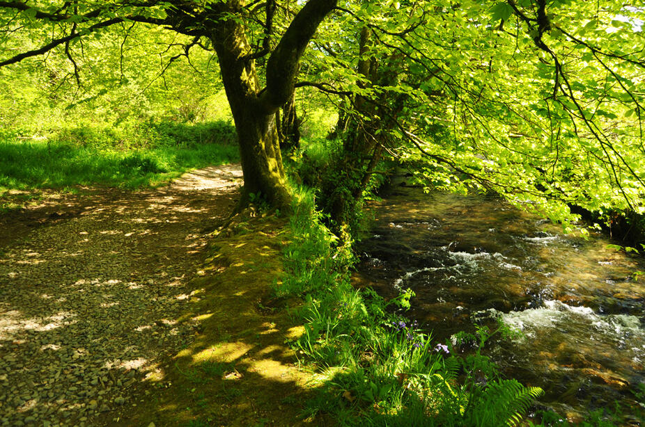 Circular walk from Camelford to Watergate