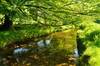 the River Camel, Cornwall