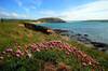 Daymer Bay