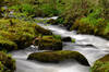 the De Lank River, Cornwall