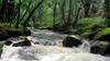 the River Fowey, Cornwall