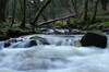 Golitha Falls, Cornwall