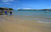 The beach at Harbour Cove, Cornwall