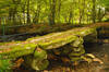 Clapper Bridge at Hennon