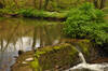 the River Allen, Cornwall