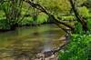 River Camel at Polbrock