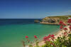 Portreath Beach