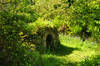 St Breward Holy Well