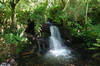 Stream beside the footpath