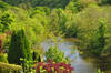 The Tamar Valley, Cornwall