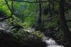 the Trebarwith Stream, Cornwall