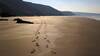 Tregardock Beach