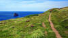 Coast Path from Tregardock