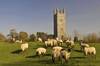 Week St Mary, Cornwall