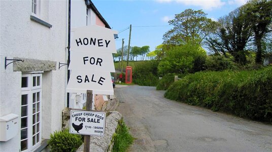 Lane near Trethin