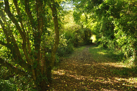 Path through the Allen Valley