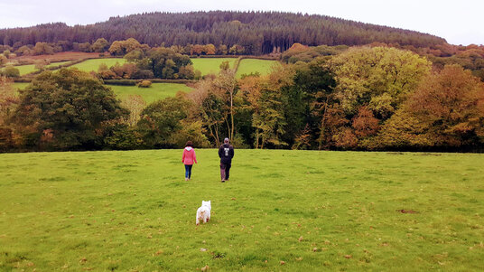 Autumn at North Hill