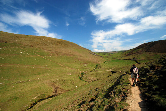 Valley at Backways Cove