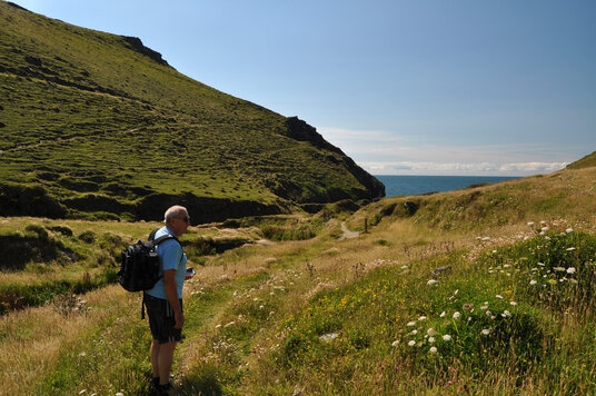 Path to Backways Cove