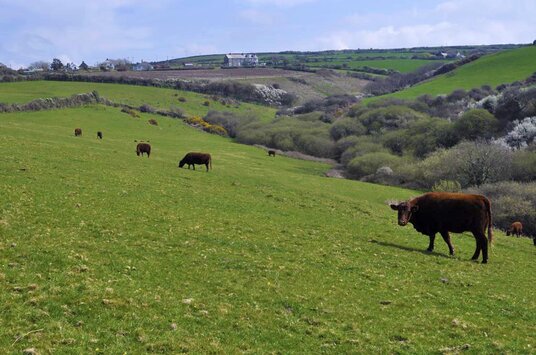 Approaching Trebarwith village
