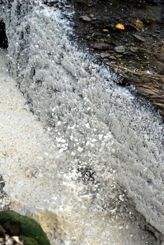 Sea foam at Backways Cove