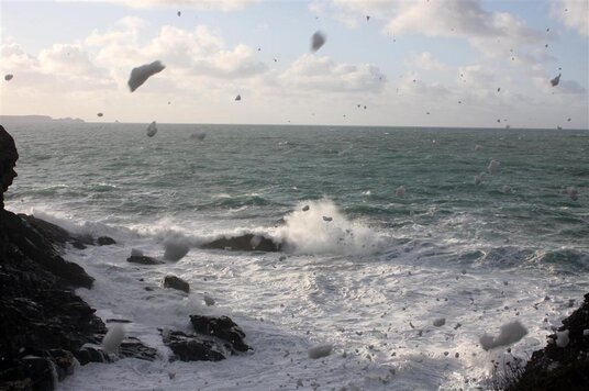Sea foam at Backways Cove