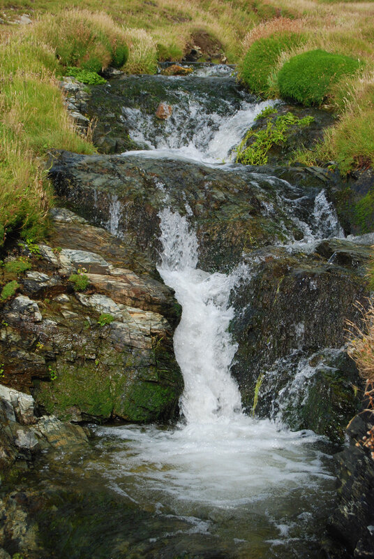 Stream at Backways Cove