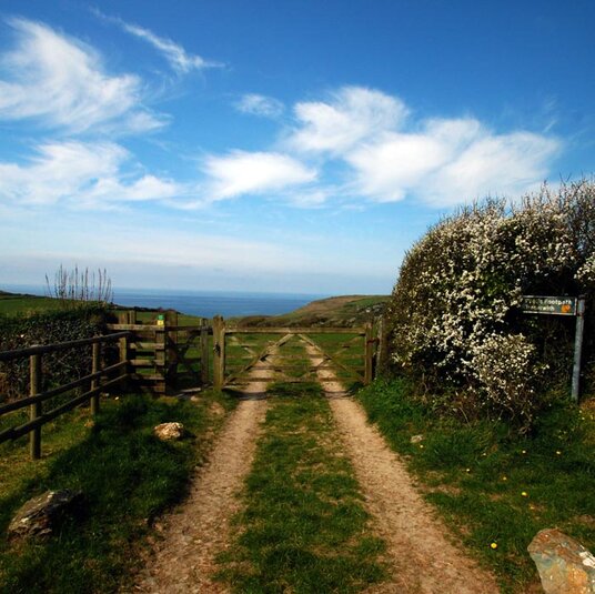 Track to Backways Cove