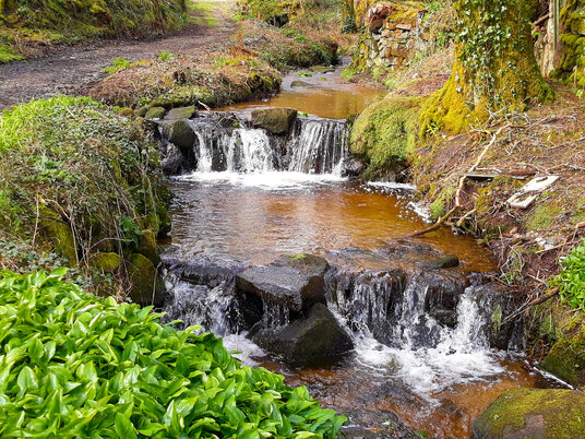 The river at Baker's Pit