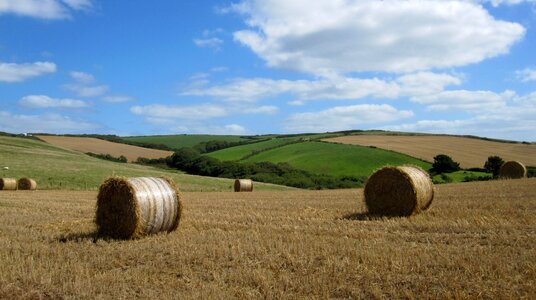 Bales near Bethams Farm