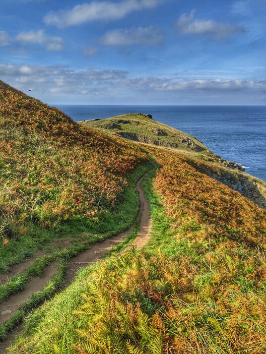 Coast path from Barras Nose