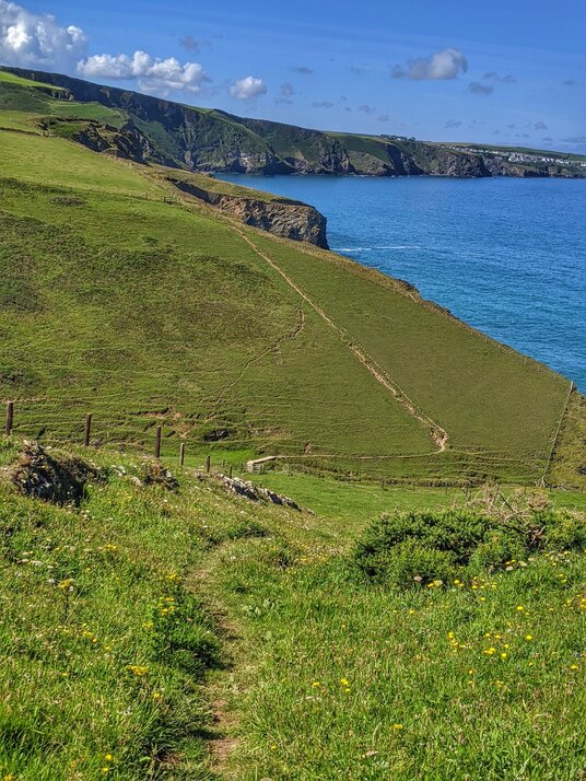 Coast path from Barrett's Zawn