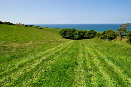 Field on the way to Hendra Farm