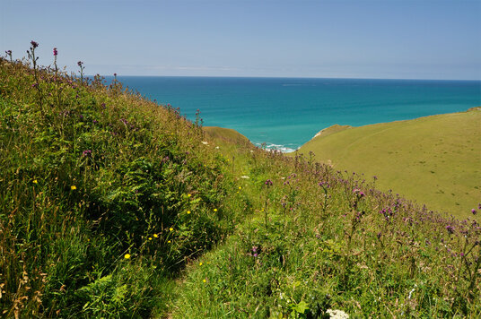 Path from Barrett's Zawn