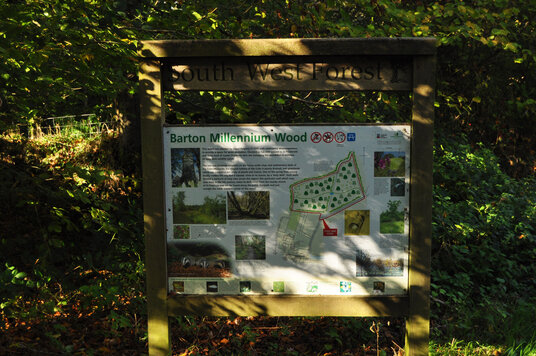 Entrance to Barton Wood