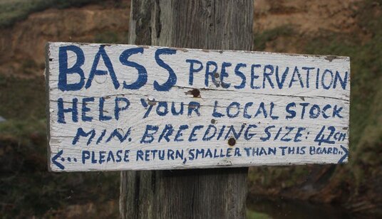 Minimum size for Bass