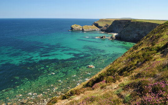 Coastline at Bassets Cove