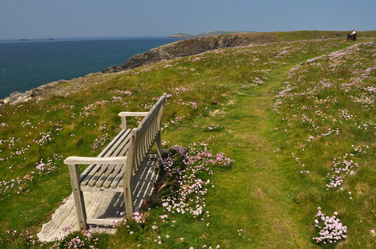 Bench near Treyarnon