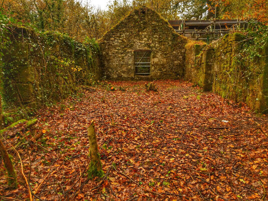 Inside Big Wheel Mill