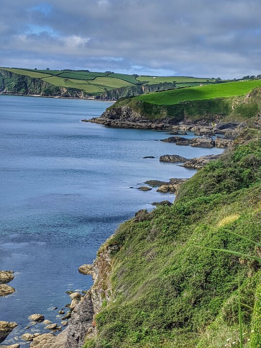Coastline near Black Head