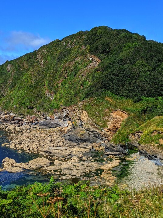 View from Black Head