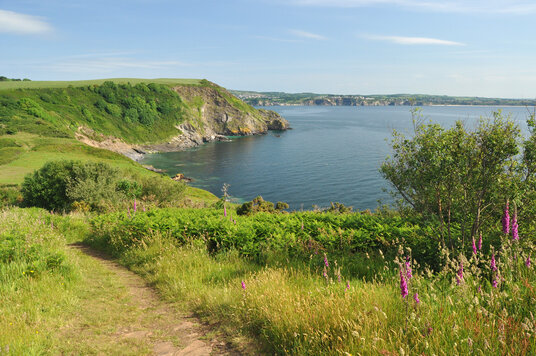 View across St Austell Bay from Black Head