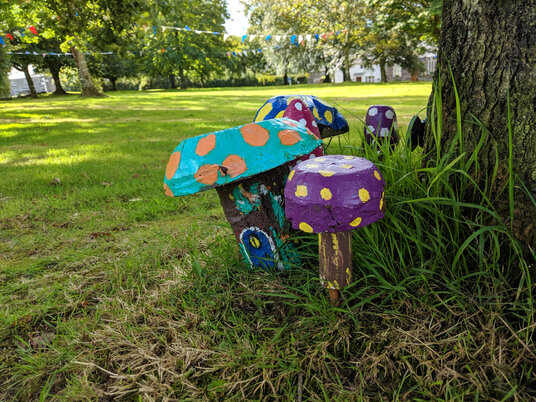 Toadstools on Blisland village green