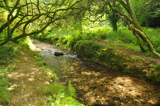 Camel tributary in Bodmin