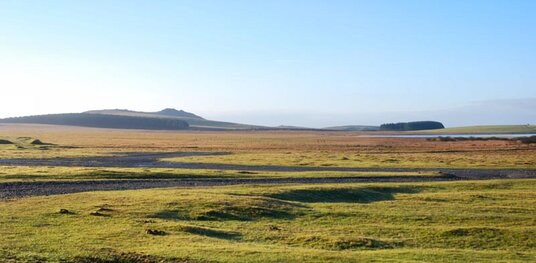Davidstow Moor
