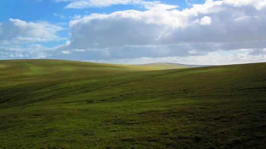 View of Bodmin Moor from Buttern Hill