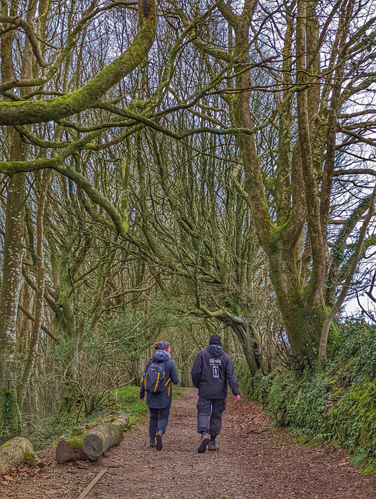 Walkers in Bosahen Woods