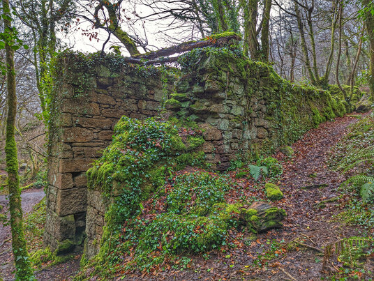 The old Wheel Pit in Bosahen Woods